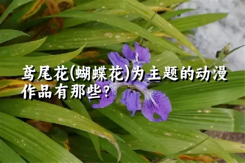 鸢尾花(蝴蝶花)为主题的动漫作品有那些？