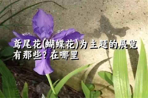 鸢尾花(蝴蝶花)为主题的展览有那些？在哪里