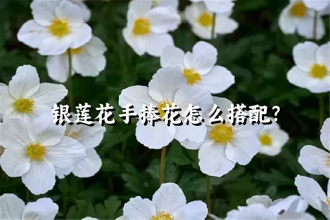 银莲花手捧花怎么搭配？