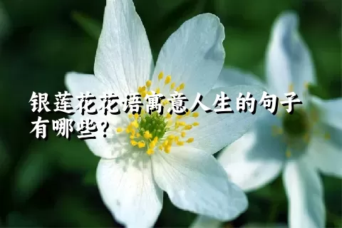 银莲花花语寓意人生的句子有哪些？