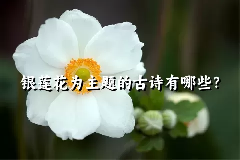 银莲花为主题的古诗有哪些？