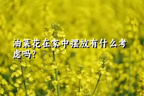 油菜花在家中摆放有什么考虑吗？