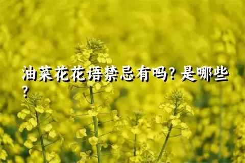 油菜花花语禁忌有吗？是哪些？