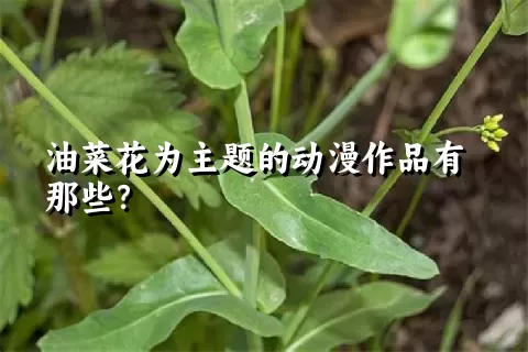 油菜花为主题的动漫作品有那些？