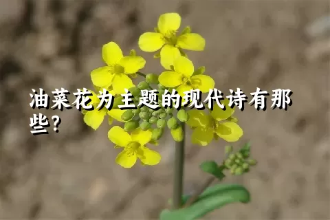 油菜花为主题的现代诗有那些？