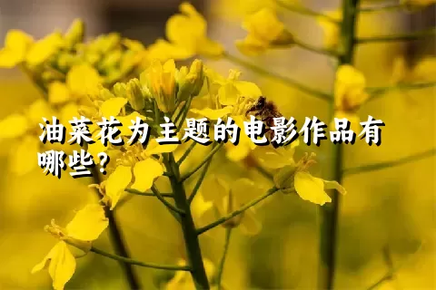 油菜花为主题的电影作品有哪些？