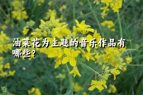 油菜花为主题的音乐作品有哪些？