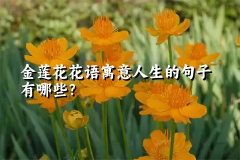 金莲花花语寓意人生的句子有哪些？