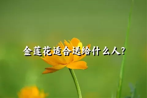 金莲花适合送给什么人？