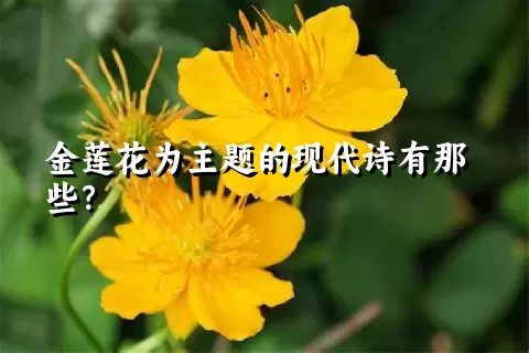 金莲花为主题的现代诗有那些？