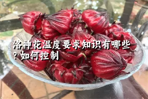 洛神花温度要求知识有哪些？如何控制