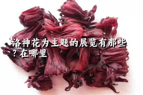 洛神花为主题的展览有那些？在哪里