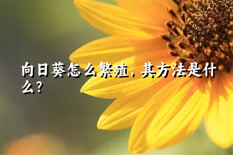 向日葵怎么繁殖，其方法是什么？