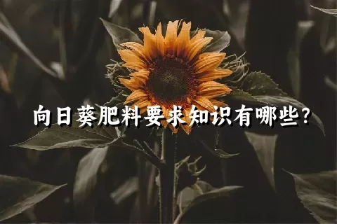 向日葵肥料要求知识有哪些？