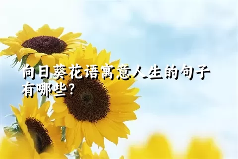 向日葵花语寓意人生的句子有哪些？