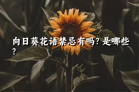 向日葵花语禁忌有吗？是哪些？