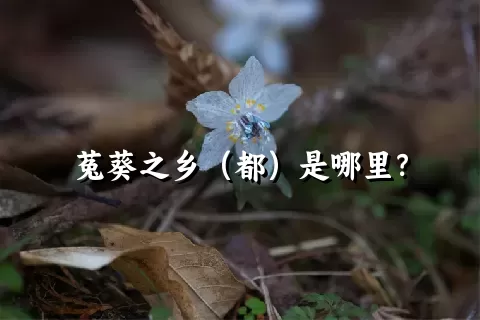 菟葵之乡（都）是哪里？