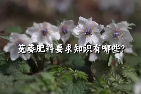 菟葵肥料要求知识有哪些？