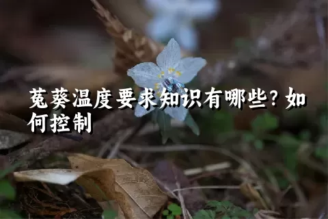 菟葵温度要求知识有哪些？如何控制