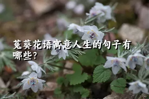 菟葵花语寓意人生的句子有哪些？