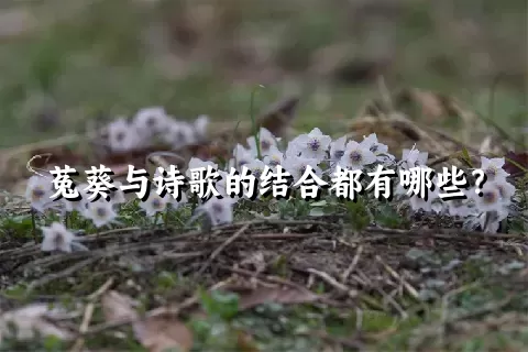 菟葵与诗歌的结合都有哪些？