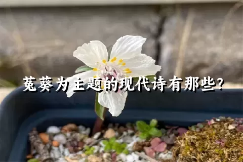 菟葵为主题的现代诗有那些？