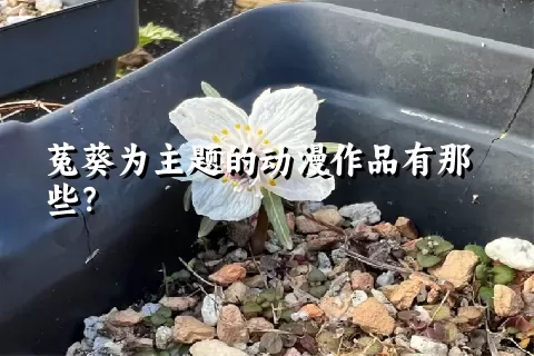 菟葵为主题的动漫作品有那些？