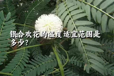 银合欢花的温度适宜范围是多少？