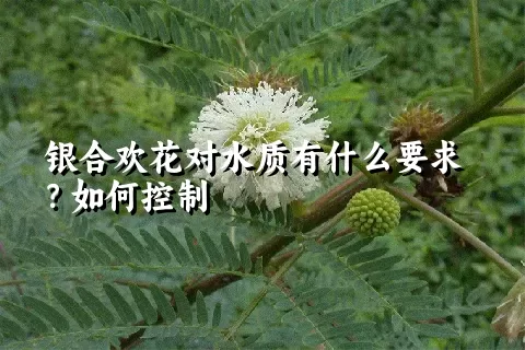 银合欢花对水质有什么要求？如何控制