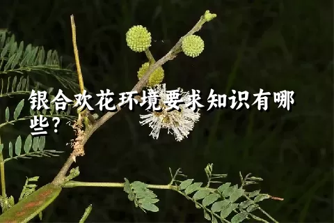 银合欢花环境要求知识有哪些？