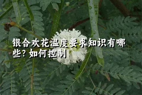 银合欢花温度要求知识有哪些？如何控制