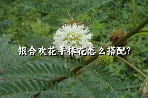 银合欢花手捧花怎么搭配？