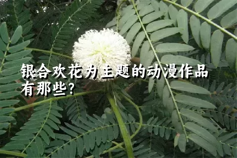 银合欢花为主题的动漫作品有那些？