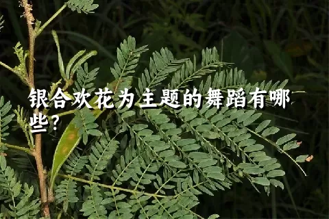 银合欢花为主题的舞蹈有哪些？