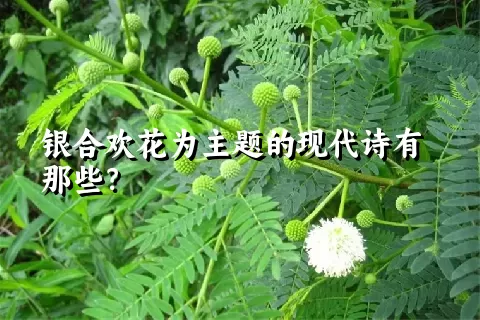 银合欢花为主题的现代诗有那些？