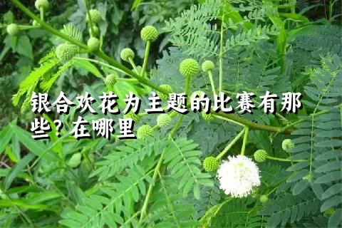 银合欢花为主题的比赛有那些？在哪里