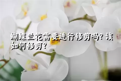 蝴蝶兰花需要进行修剪吗？该如何修剪？