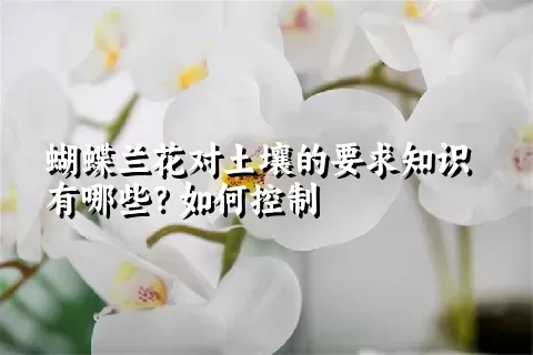 蝴蝶兰花对土壤的要求知识有哪些？如何控制