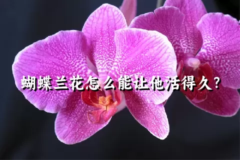 蝴蝶兰花怎么能让他活得久？