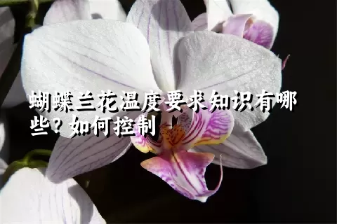 蝴蝶兰花温度要求知识有哪些？如何控制