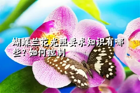 蝴蝶兰花光照要求知识有哪些？如何控制