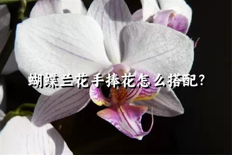 蝴蝶兰花手捧花怎么搭配？