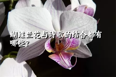 蝴蝶兰花与诗歌的结合都有哪些？