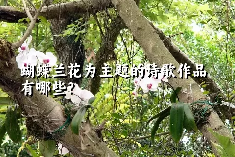 蝴蝶兰花为主题的诗歌作品有哪些？