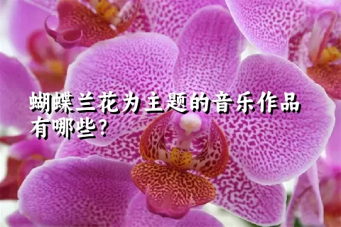 蝴蝶兰花为主题的音乐作品有哪些？