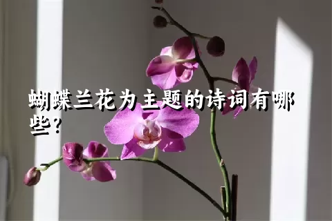 蝴蝶兰花为主题的诗词有哪些？