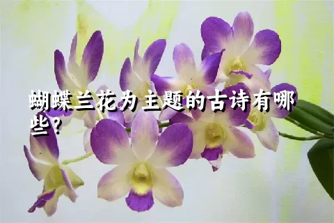 蝴蝶兰花为主题的古诗有哪些？