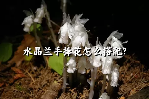 水晶兰手捧花怎么搭配？