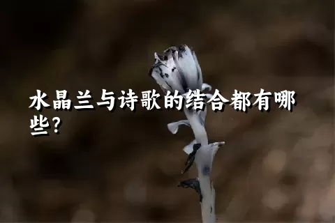 水晶兰与诗歌的结合都有哪些？