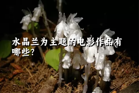 水晶兰为主题的电影作品有哪些？